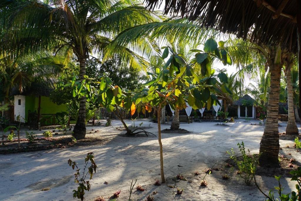 Dreams Of Mapacha Bed & Breakfast Michamvi Kae Exterior photo