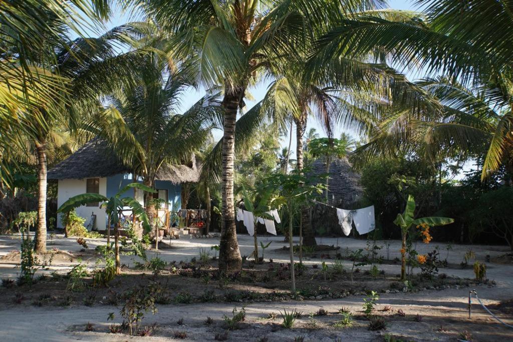 Dreams Of Mapacha Bed & Breakfast Michamvi Kae Exterior photo