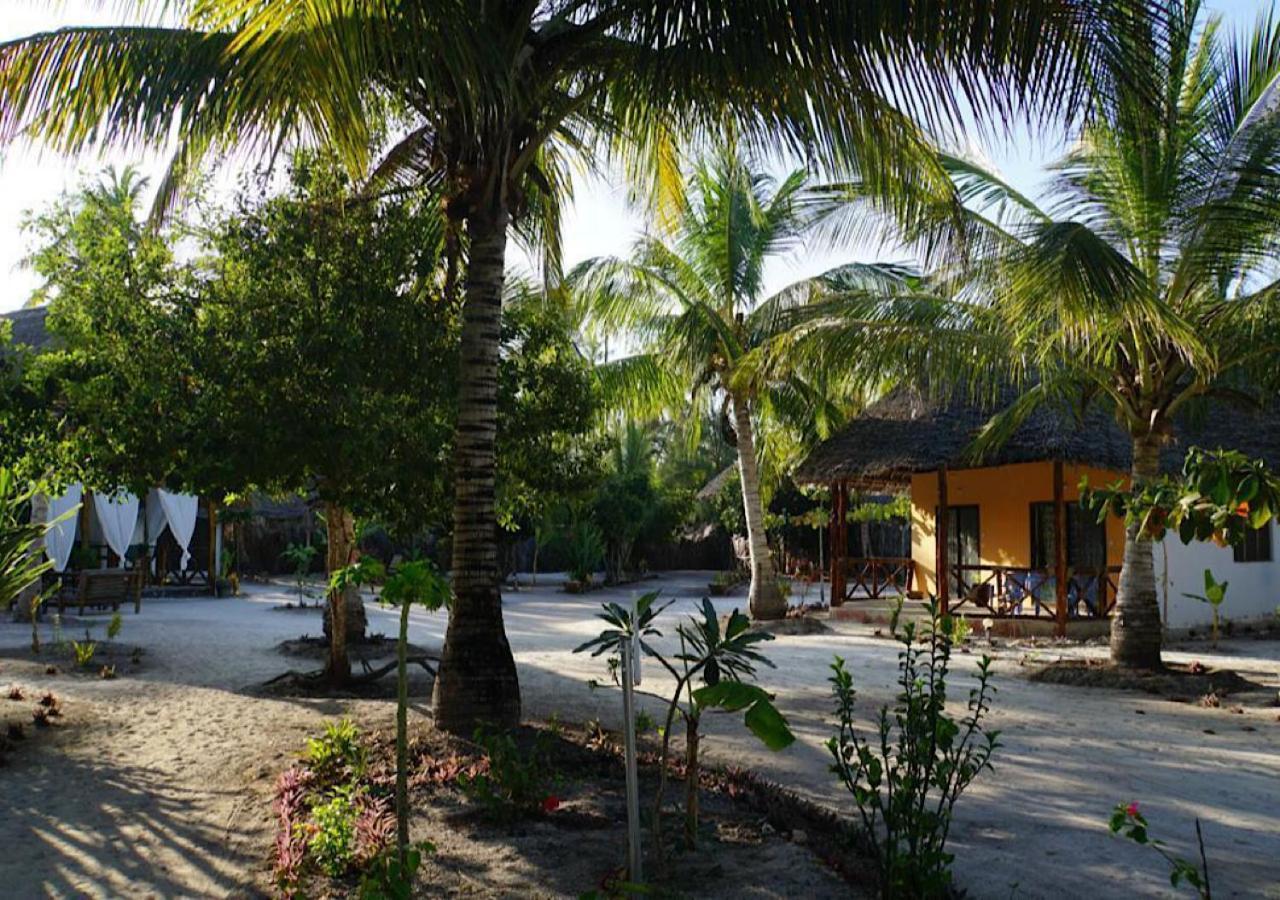 Dreams Of Mapacha Bed & Breakfast Michamvi Kae Exterior photo
